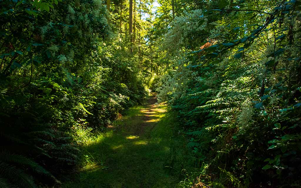Del Fairfax Preserve PIY2828