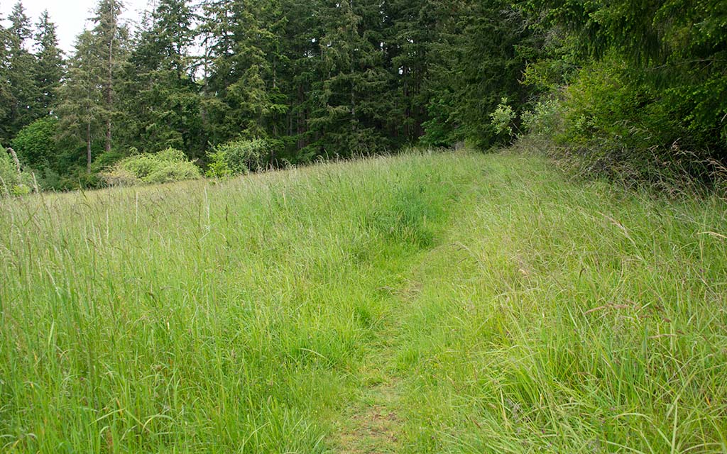 Hammond Preserve PIX8611