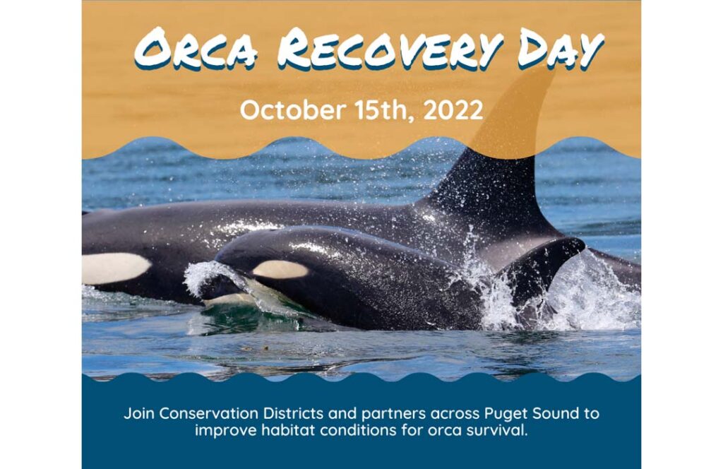 Orca Event Orca Recovery Day - Whidbey and Camano Islands