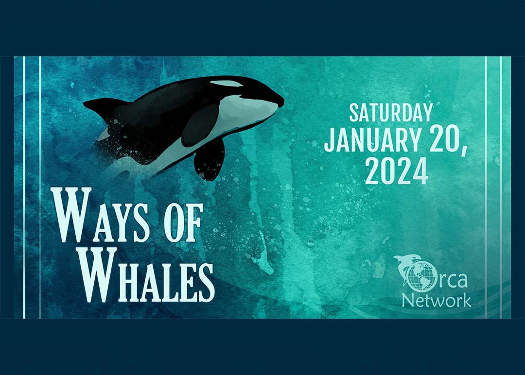 Poster shows a drawing of an Orca and the words, Ways of Whales, Saturday January 20, 2024 and Orca Network