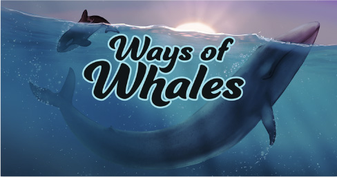 Poster shows a drawing of an Orca and the words, Ways of Whales, Saturday January 25, 2025 and Orca Network