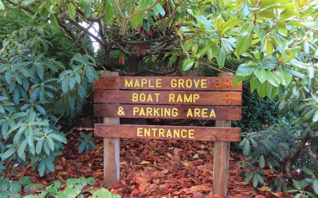 Maple Grove IMG 6296