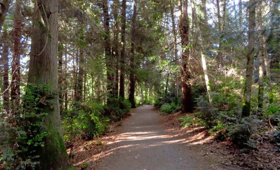 South Whidbey Community Park Trails 01 552x334