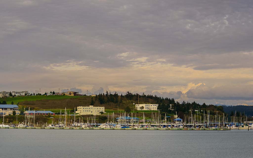 Oak Harbor Marina from Maylor Point PIX7025