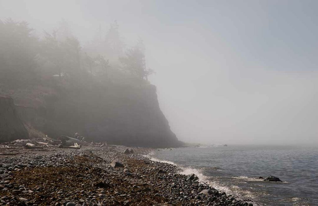 Fog covers a bluff overlooking Puget Sound along West Beach Road