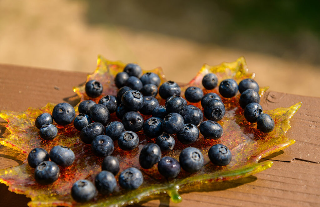 Blueberries sitting on a leaf-shaped glass plate.