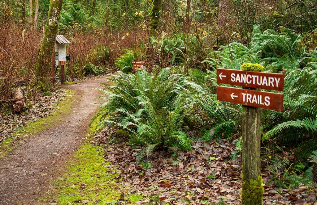 A dirt path is on the left.  On the right are two signs that point to the trail.  One says "trail" and the other says "sanctuary."