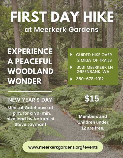 Poster showing a tree-lined path. It has the information for this event printed on it.