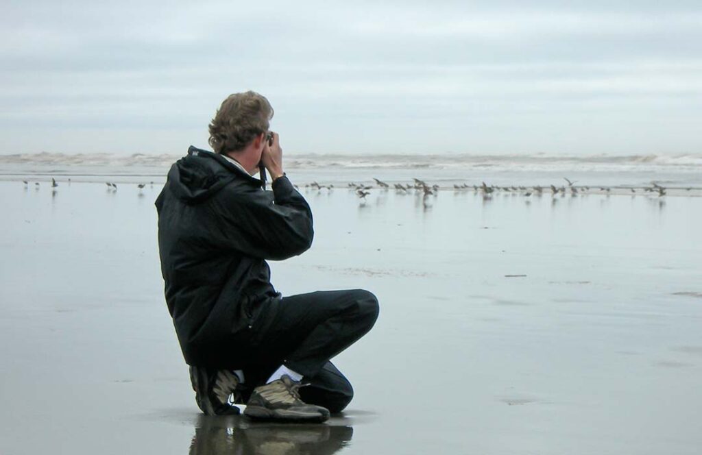 Man kneeling on the beach holding a camera photographing birds.