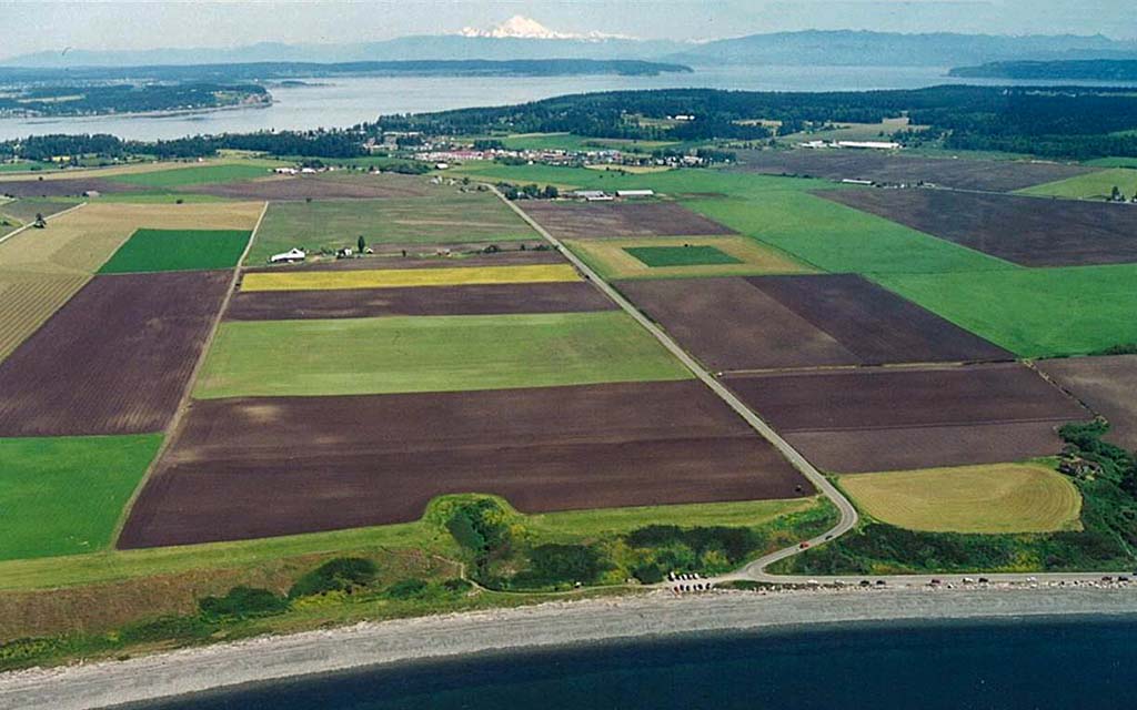 Aerial view of farmland on Whidbey Island. A beach is i the foreground and the waters of Penn Cove and Mount Baker are in the background