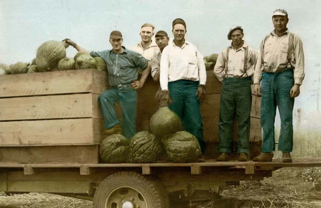 Old photo of five men standing in the bed of a truck along with several large squash.