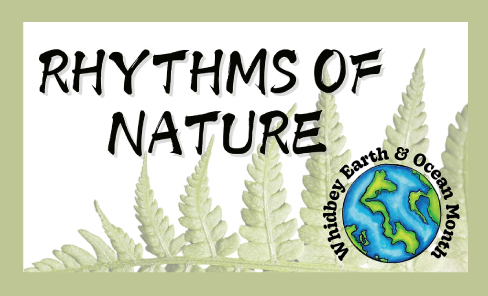 Rhythms of Nature: Whidbey Earth and Ocean Month