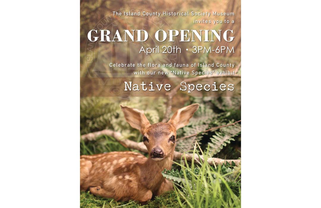 Poster shows a deer fawn and has the same details as this listing.