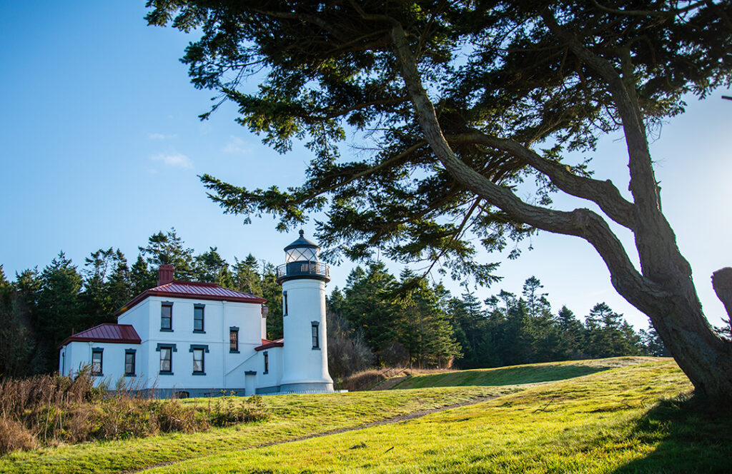 A nearby tree frames the Admiralty Head Lighthouse that's in the distance.