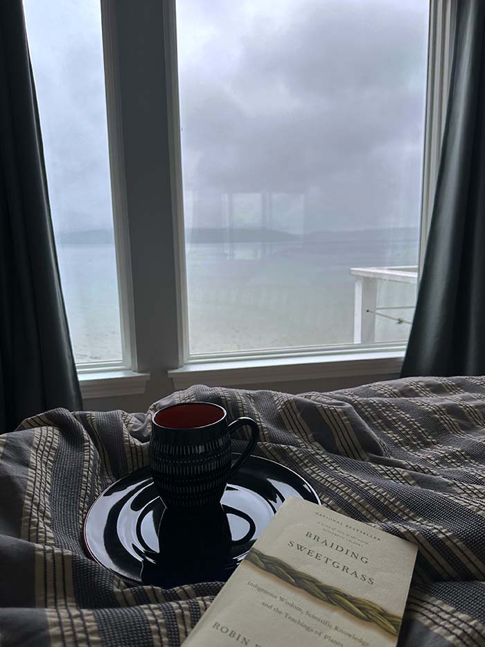 A book and mug of tea sit in front of a window with storm clouds outside.