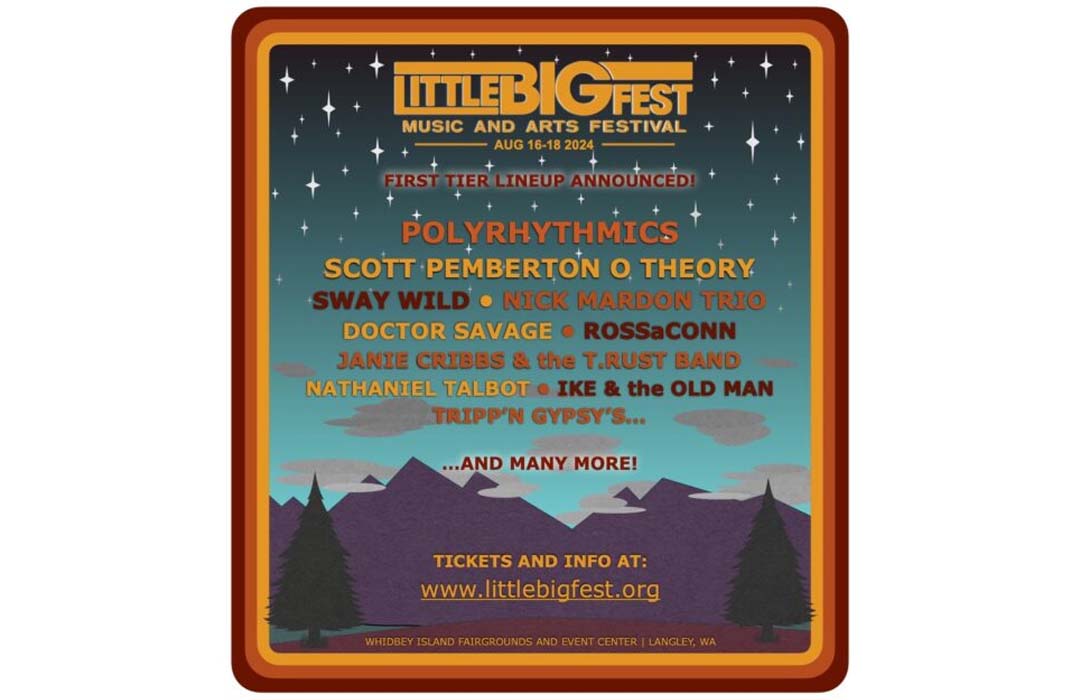 Little Big Fest poster shows a drawing of mountains and starry sky and lists the basic details of the event along with the bands.