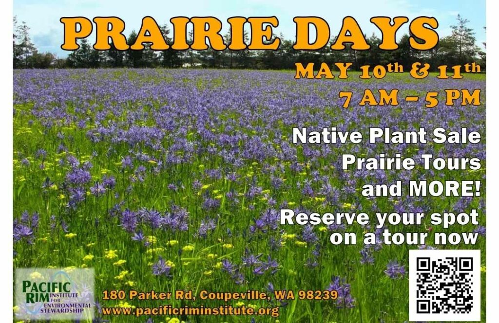 Poster is a photograph of wildflowers on the prairie with the same details that are in this listing.