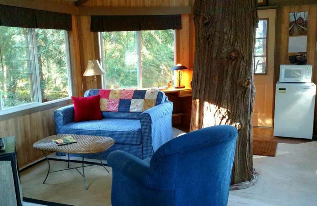 Treehouse Whidbey 05 1024x664