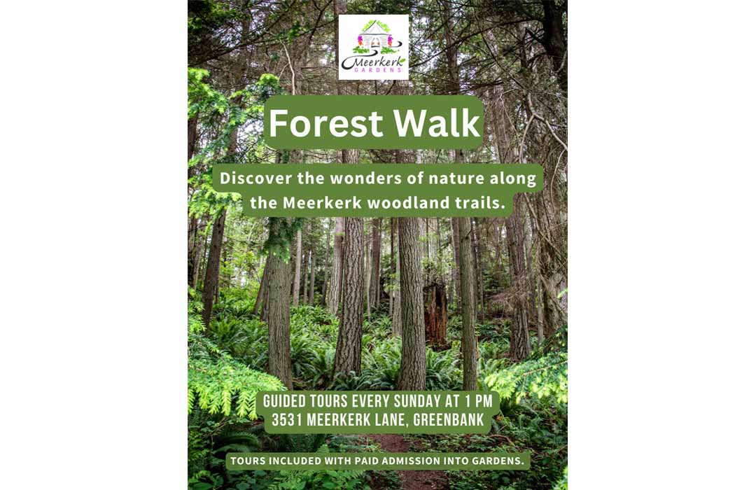 Poster shows a green forest. Over it is text that includes the basic information that is in this listing.