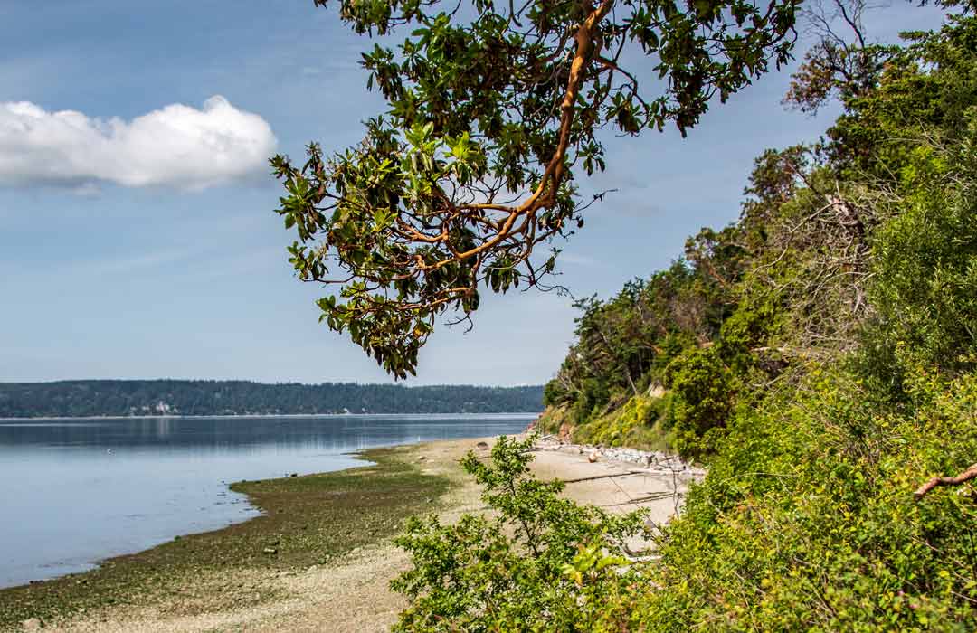 camano island beach