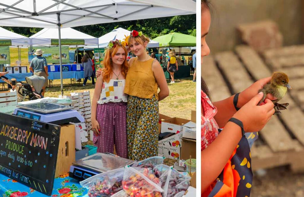 Bayview Farmers Market