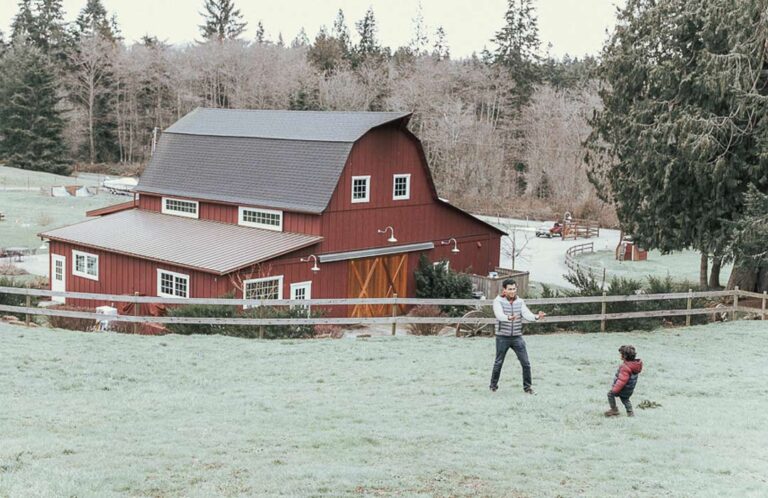 Father and sun playing in frosty field at Dancing Fish Vineyards.