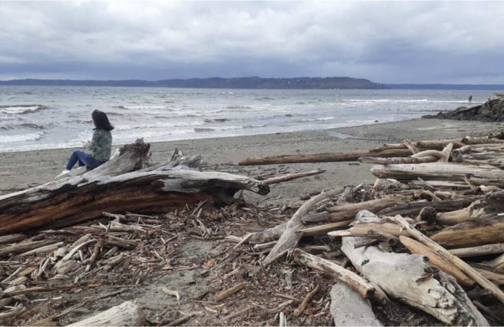 Image of Saltwater State Park and a person sitting on a log