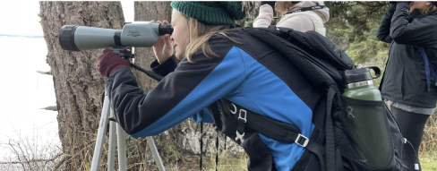 Spotting the Island’s Birds