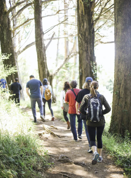 image of hikers on a trail