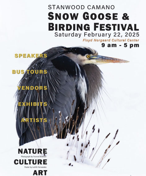 Poster of snow Goose & Birding Festival with event details