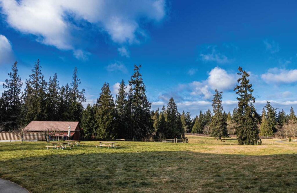 The views of the 22-acre property. Photo: Hannah Corbin