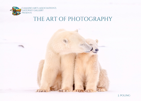 Photo by Jeanne Poling "Bear Kiss" with the word The Art of Photography and the CAA Logo in the left corner