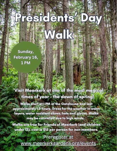 Poster showing a tree-lined path. It has the information for this event printed on it.