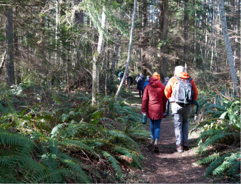 Hikers on a trail at the Trillium Forest