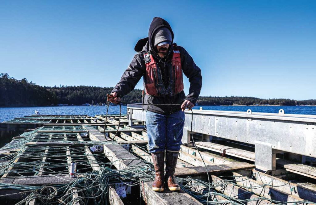 Mussel Raft Assembly Take a Deep Dive: Into Penn Cove Mussels - Whidbey and Camano Islands