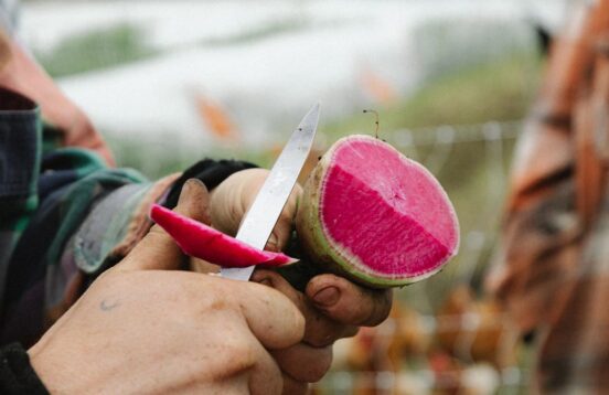 Discover What You Eat During A Relaxing Farm Stay
