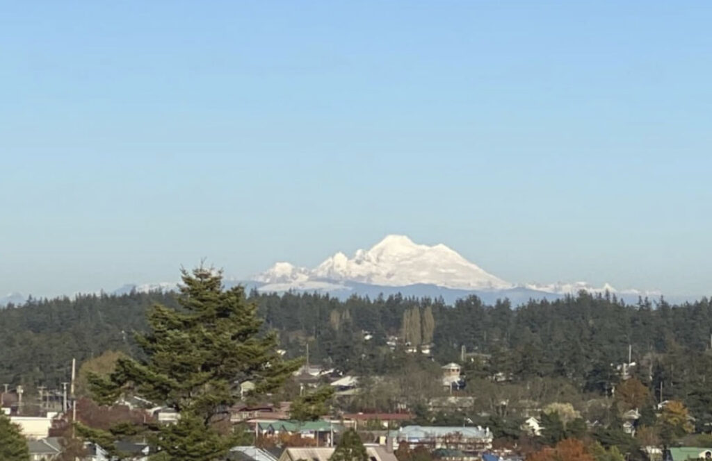 Collins Cottages Mnt view 1024x664