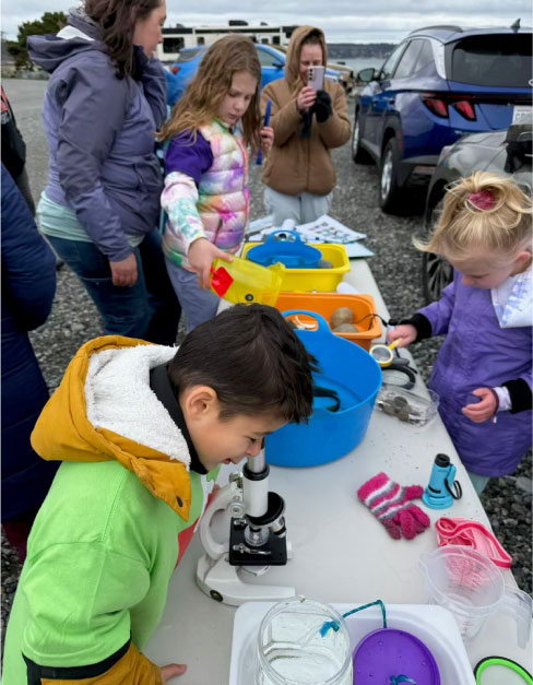 Image of children looking as sea life and thru a microscope