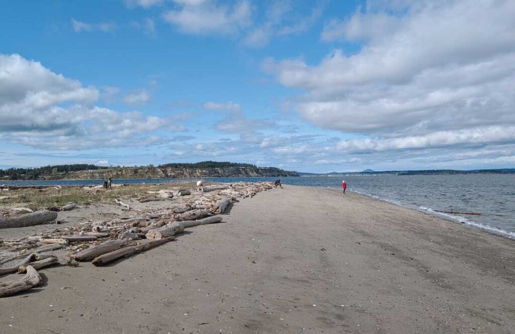 People at Long Point whale watching