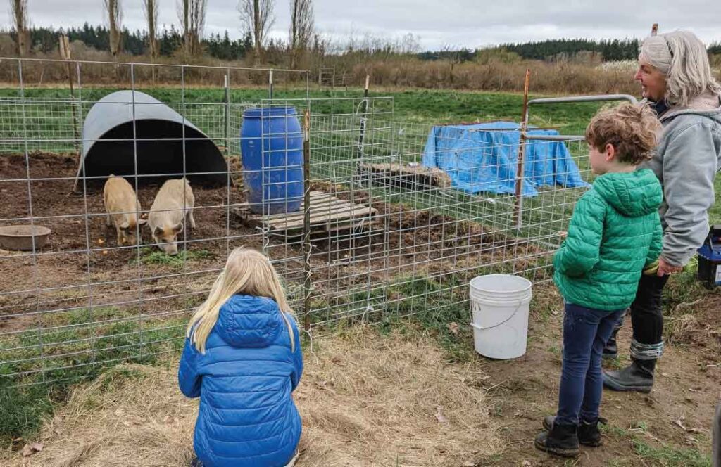 Kids watch pigs at the Organic Farm School