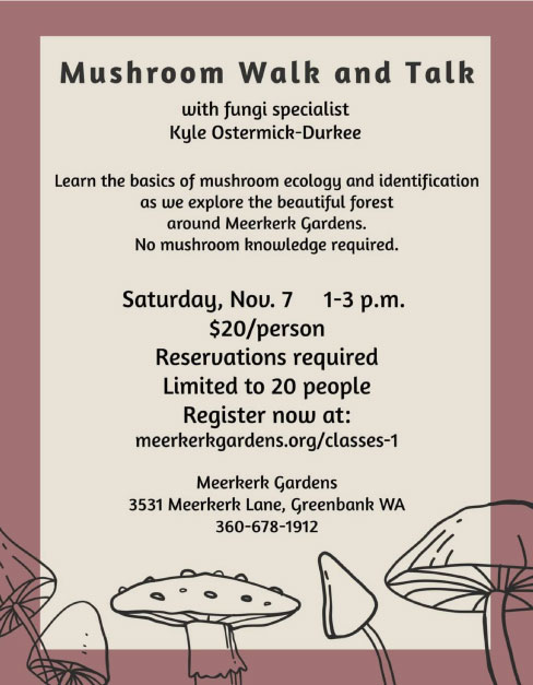 Poster with line art of mushrooms with the words Mushroom Walk and Talk. along with details that match this listing