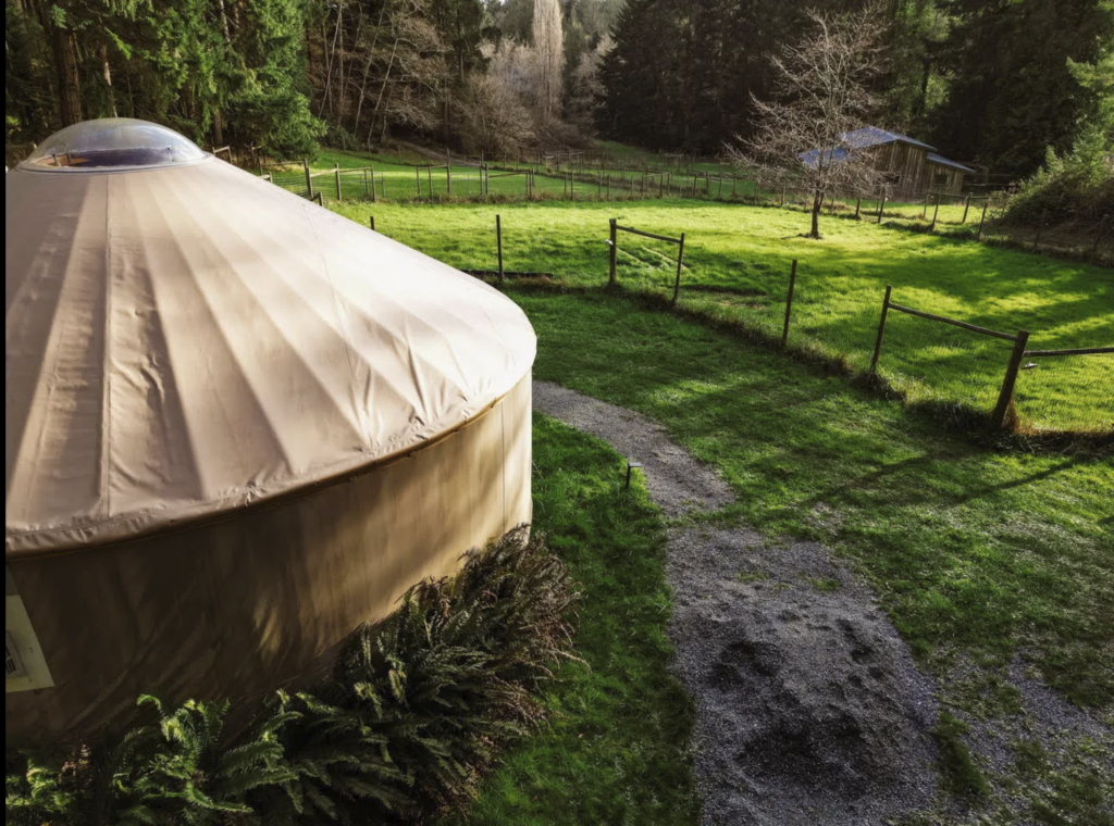 A yurt at The Hollow.