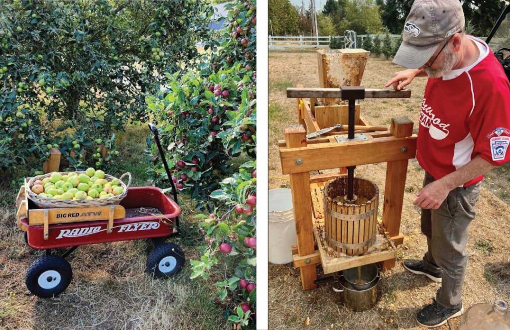 Arrowhead Ranch Cider Making.